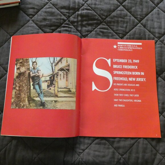 TWO - Bruce Springsteen Programs. Born in the USA World Tour & USA Tour 1984-85 - Picture 5 of 16